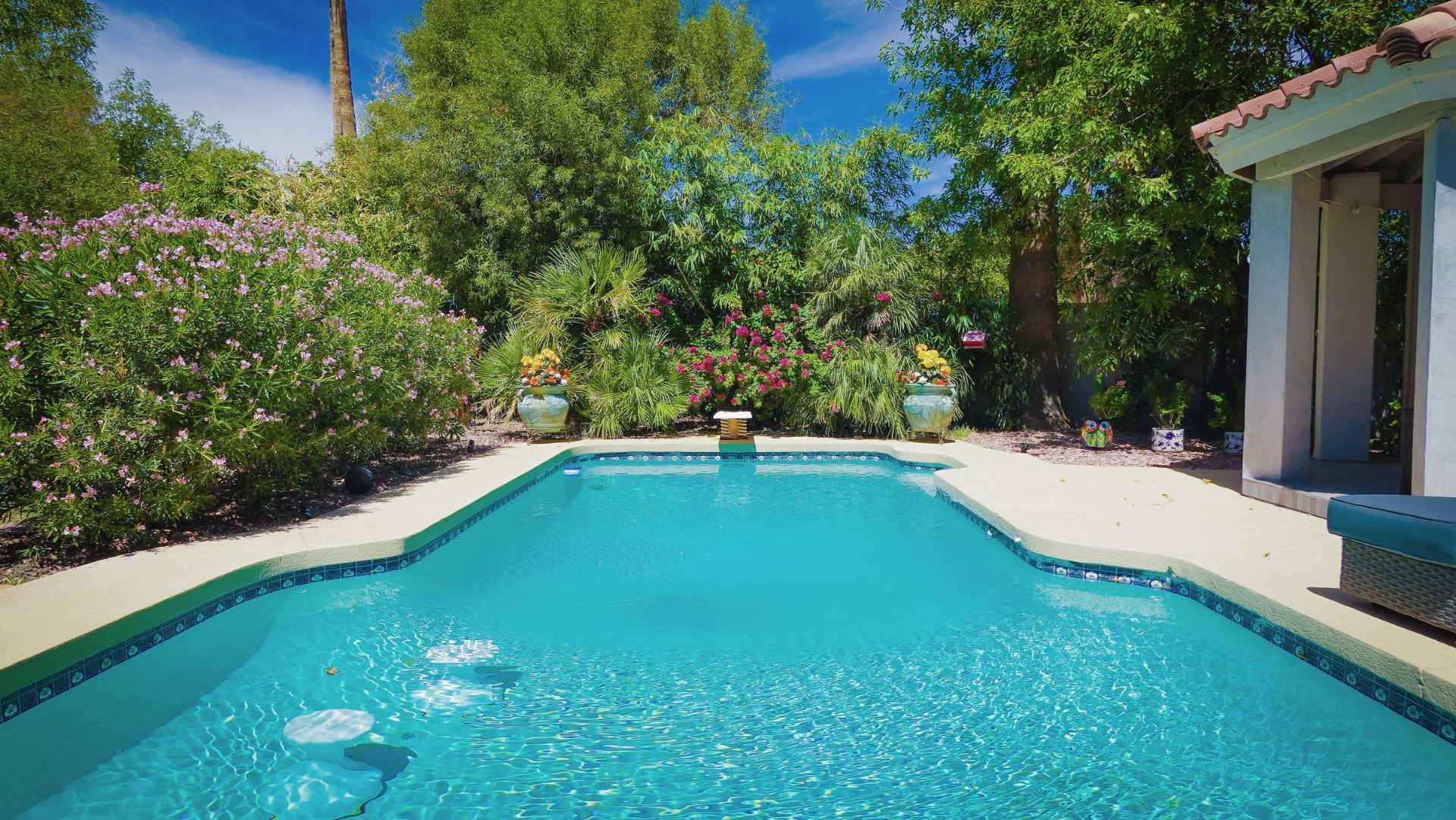 Pool framed by oleander, bamboo and mature trees