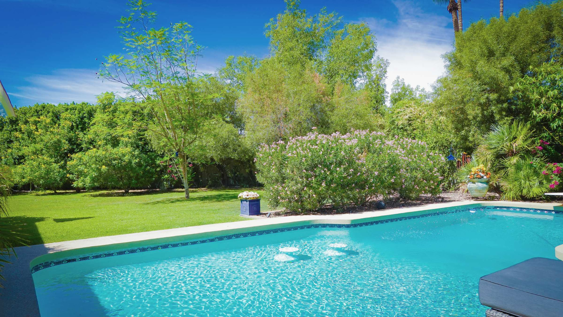 The pool and grounds in daylight